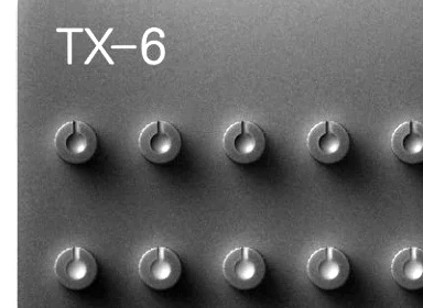 TX-6